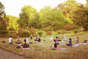 YiLP – Yoga im Luisenparkt Erfurt
